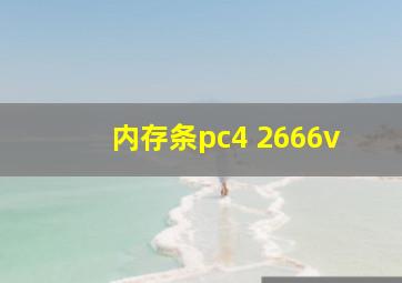 内存条pc4 2666v